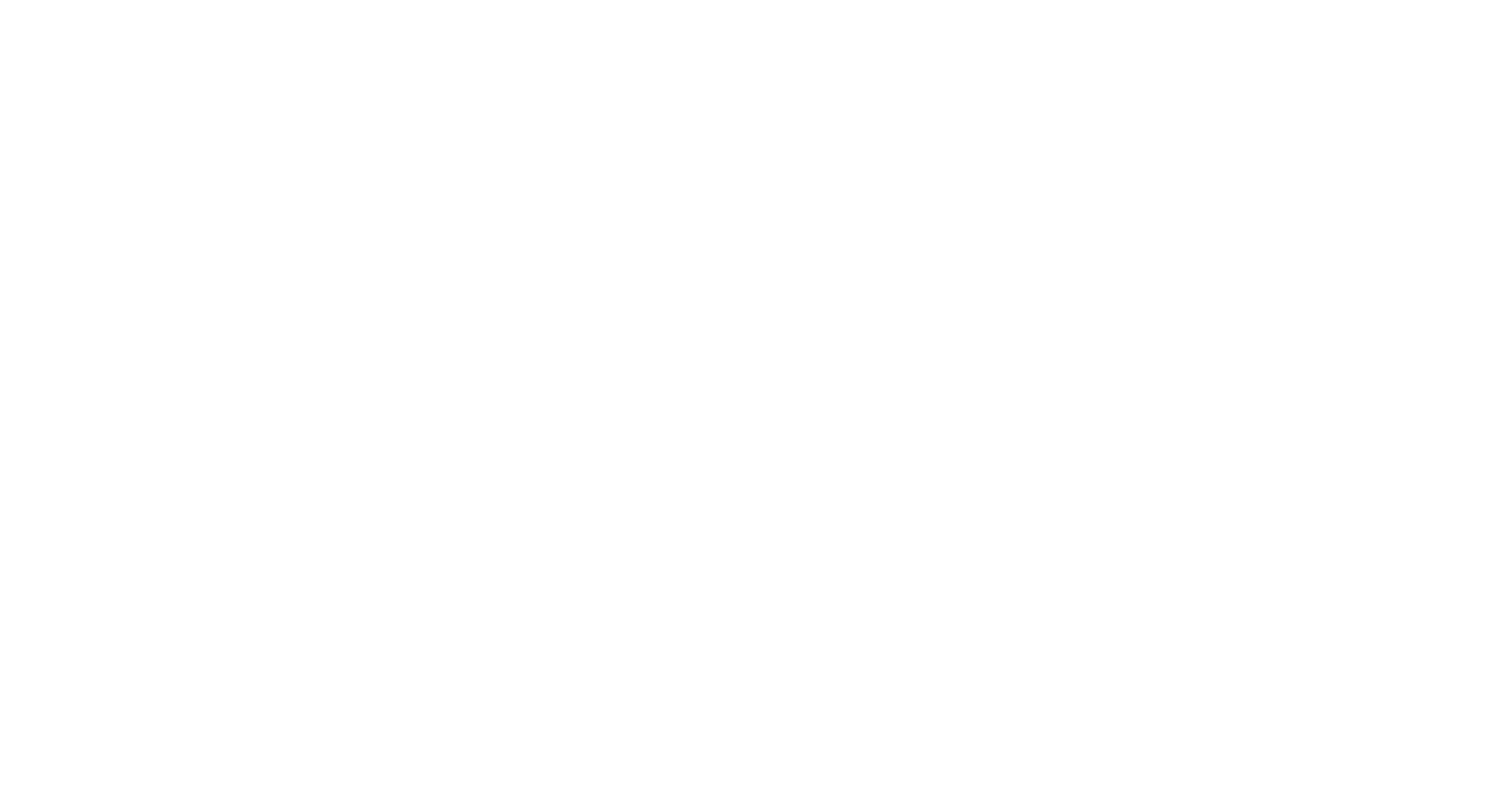 SOS_Script_LOGO_White Suncoast Organizing Solutions