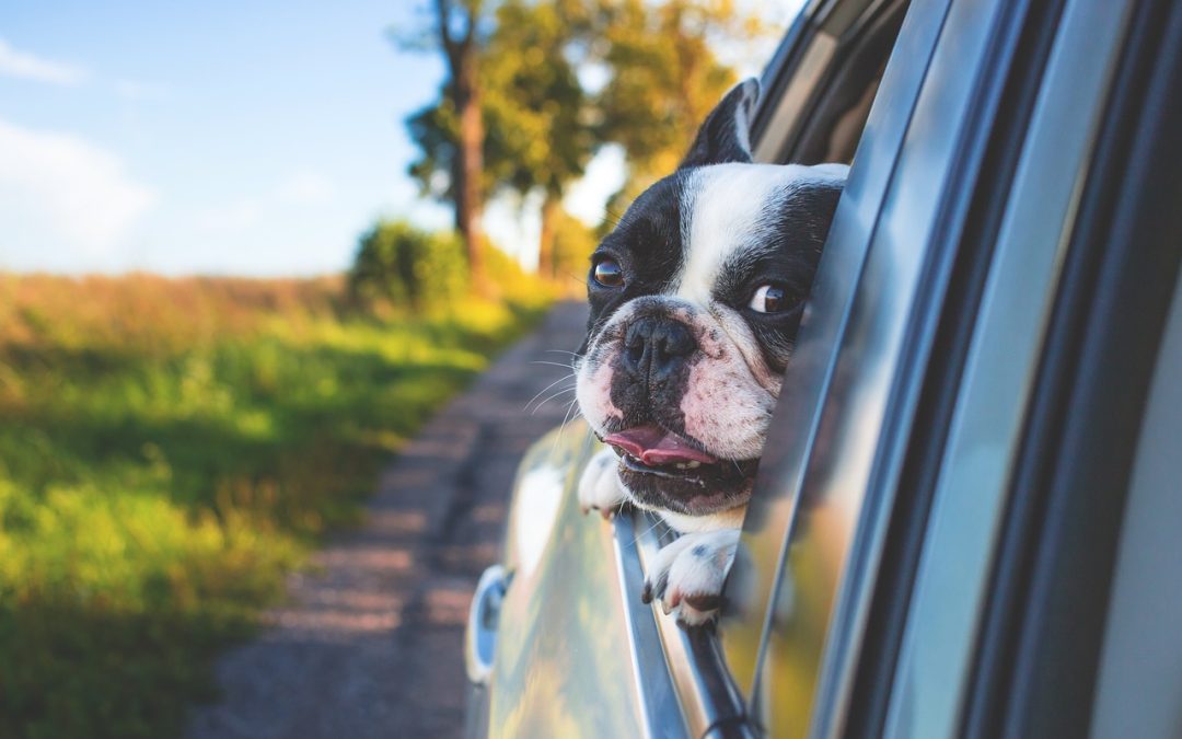 Weekend Getaways: Best Day Trips from Palm Harbor
